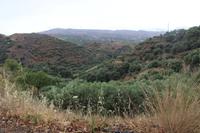 Wanderung von Sirikari nach Polyrinia