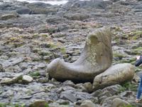 Giants Causeway