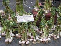 Catania - Mercato della Pescheria - der Fischmarkt - hier gibt es auch Knoblauch,