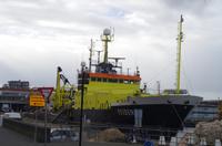 Scheveningen Hafen