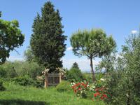 am Bauernhof nahe Empoli