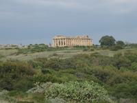 Selinunte - der noch am besten erhaltene Tempel