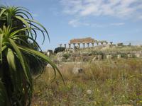 Ausgrabungstätte Selinunte - hier war in der Antike eine große Stadt 