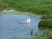 Aran Islands - Inish Mór