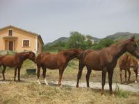 Wir haben unser nächstes Ziel erreicht 
