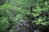 Wanderung Alta Rocca