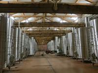 Chateau Grand Moulin, beim Winzer 