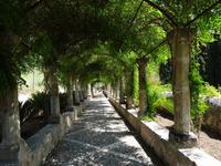 Die Gärten von Alfabia - ohne Wasserstrahlen