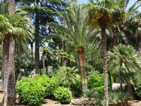 Die Gärten von Alfabia 