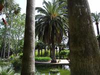 Die Gärten von Alfabia 