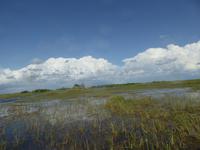 Everglades Nationalpark