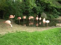 Champrepus Parc Paysager et Zoologique