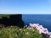 Cliffs of Moher