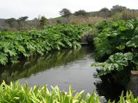 Vauville Jardin Botanique