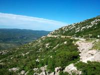 Wildes Land Kroatien