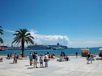 Split, an der Riva unter Palmen 