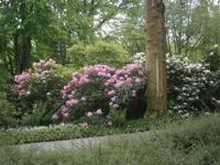 Farbenpracht im Erlebnispark Insel Mainau