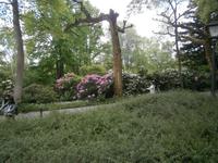 Weitere Sichten auf den Park