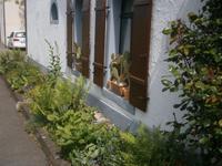 Kakteen und andere Gewächse an der Seite dieses Hauses