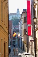 Blick zur Burg