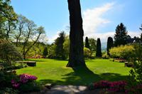 188 Bodnant Garden