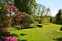 189 Bodnant Garden