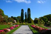 240 Bodnant Garden