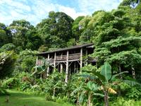 084 Orang Ulu Langhaus, Sarawak Cultural Village, Damaii, Borneo, Malaysia