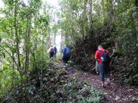 266 Kinabalu Nationalpark, Sabah, Borneo, Malaysia