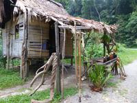 430 Orang Asli, Cameron Highlands, Malaysia