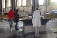 Salisbury Cathedral