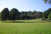 Killerton Garden