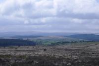 Dartmoor