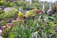 Minack Theatre in Porthcurno