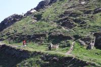 Cornische Küste bei Tintagel