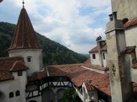 IMG 0930