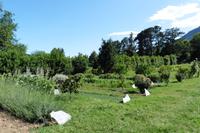 Garten der Distillerie für ätherische Öle