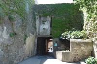 Calvi