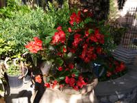 Sestri Levante, Hotel Due Mari