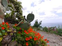Weg von Levanto nach Monterosso