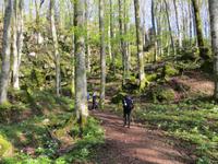 008 Franziskusweg nach La Verna