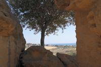 Tal der Tempel