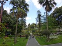 069-Terceira-Angra_do_Heroismo