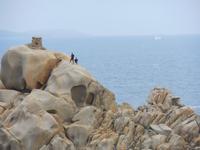 135 Sardinien - Wanderung zum Capo Testa
