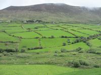 Knicks im Anascaul-Tal, Dingle