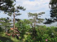 Blick vom Thomas-Mann-Haus auf das Haff