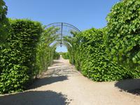 Im Park von Schloss Rundale