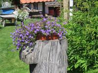 Im Garten des Restaurants Balta Maja