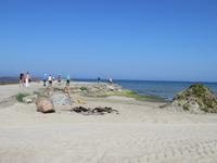 Tallinn - Stadtteil Pirita - Strand