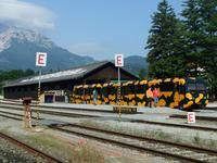 Die Salamanderbahn bringt uns auf den Schneeberg